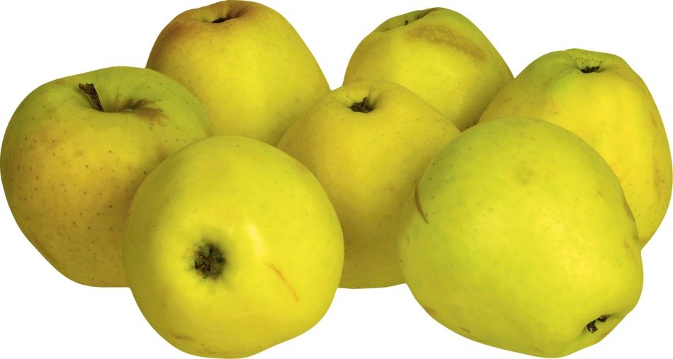seven yellow apples