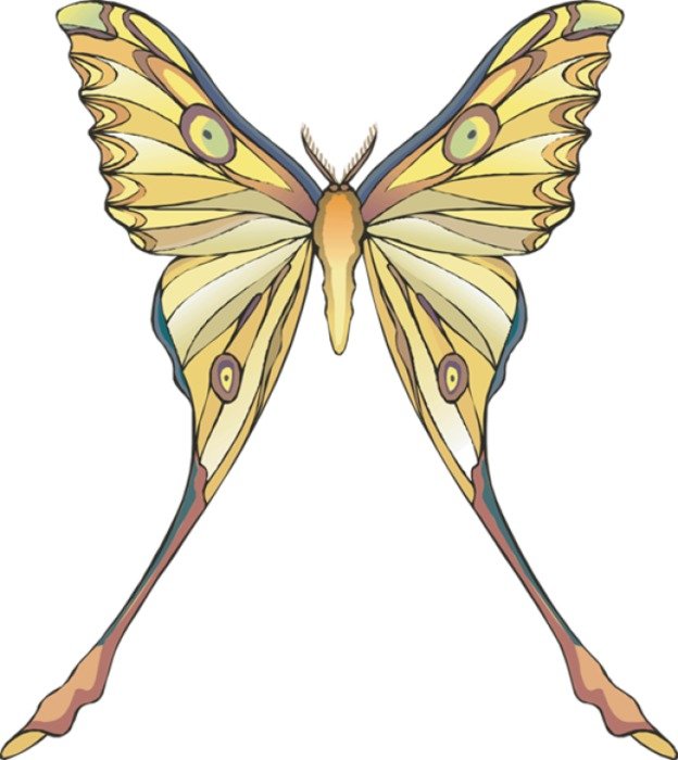 Clip Art Of A Luna Moth Dixie Allan