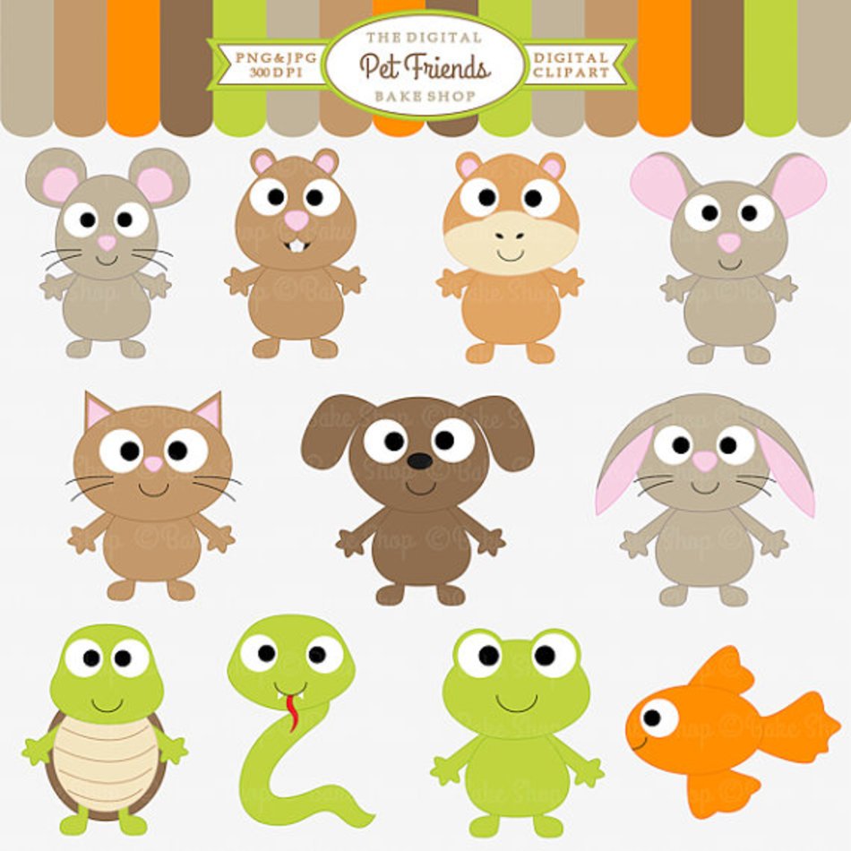 Pets Images And Wallpapers All Free To Download