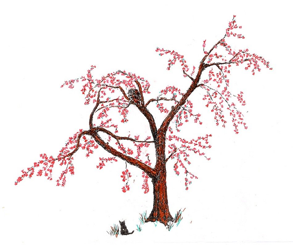 Cherry Tree and cat Drawing