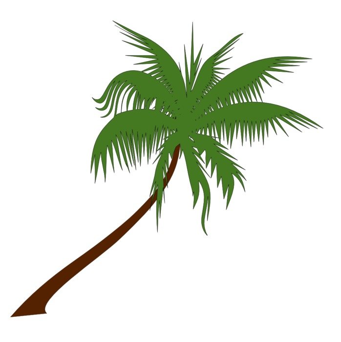 computer palm image on white background