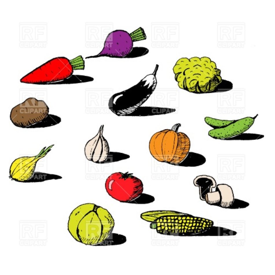 Vegetables 19 Food And Beverages Download Free Vector Eps