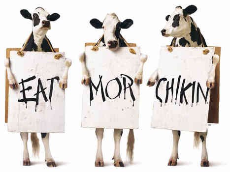 Ceat more chikin drawing