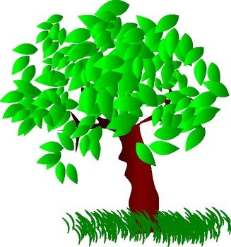 Tree Large Leaves At Clkercom Vector Online
