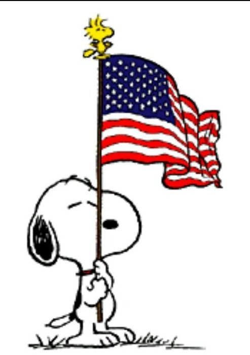 Flags N152