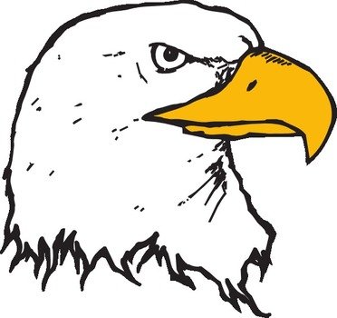 Bald Eagle Head At Clkercom Vector Online