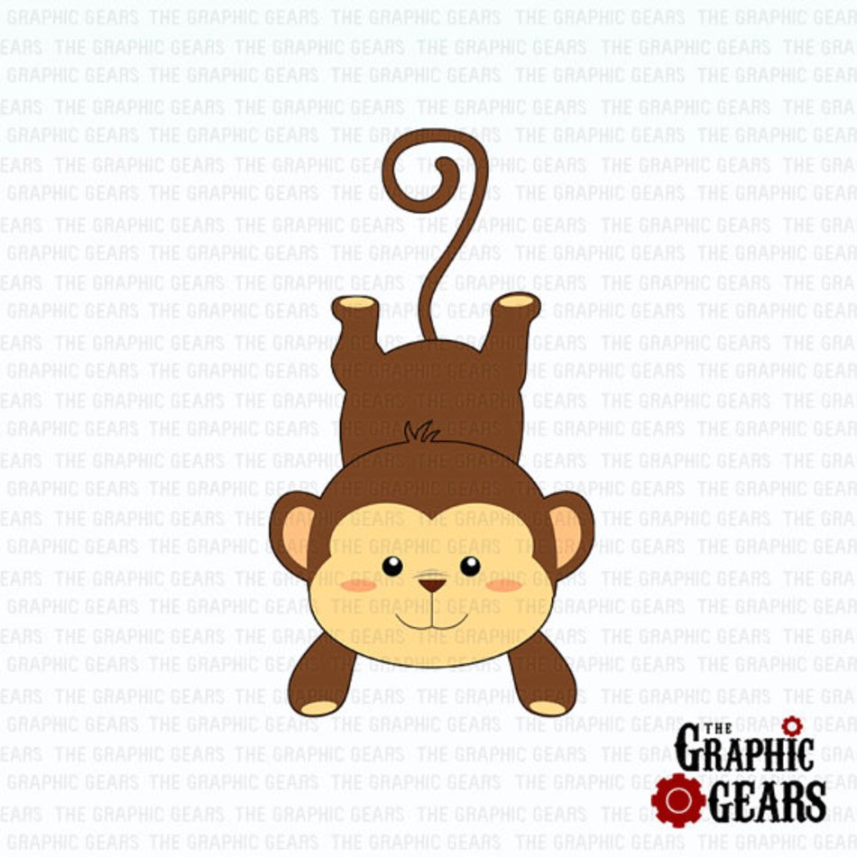 Monkey Cute Baby Swinging