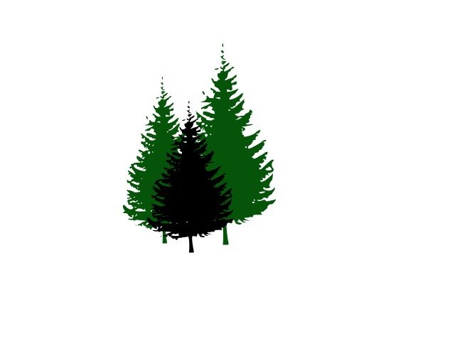 Pine Tree Silhouette Sco