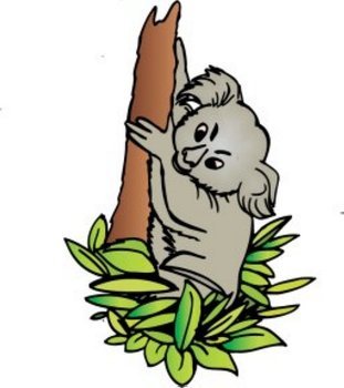 Koala N16