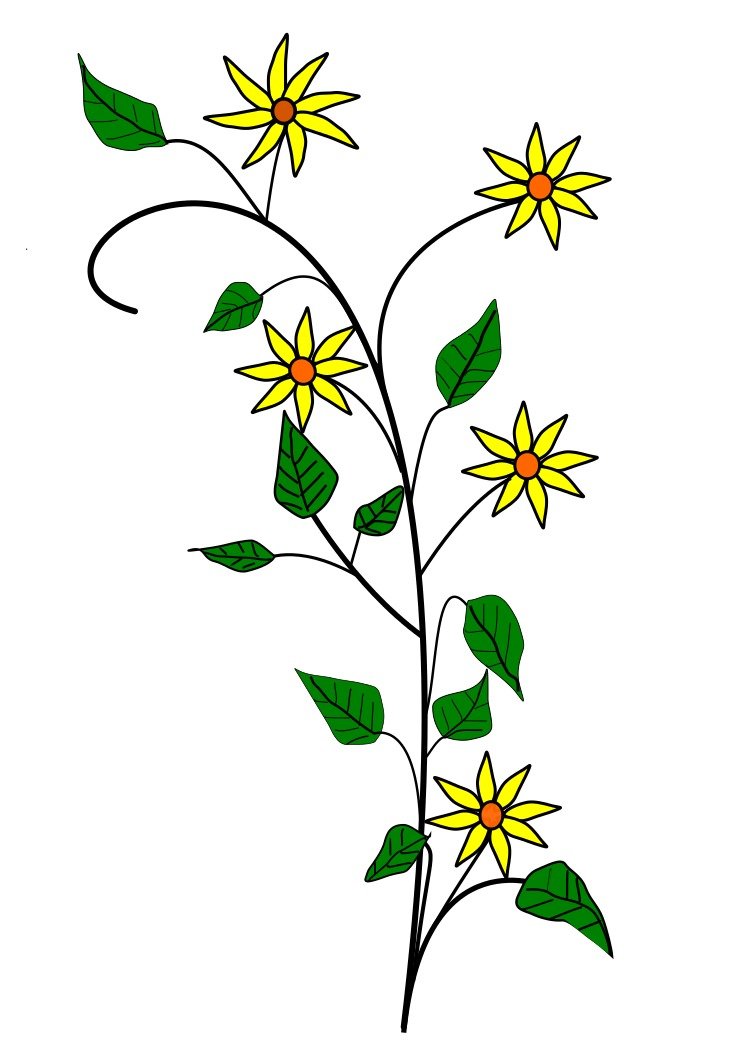 Flowers By Aungkarns drawing