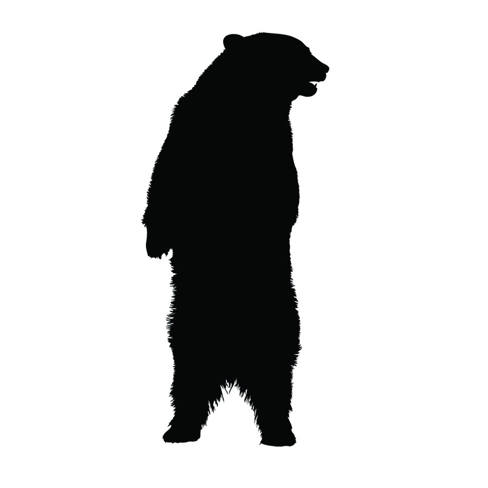 black silhouette of a bear on a white background