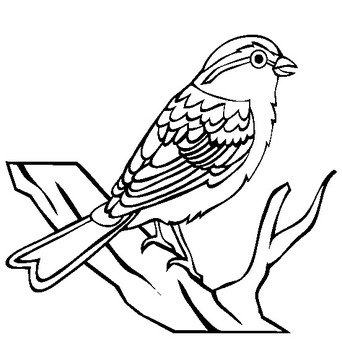 Clipart of bird