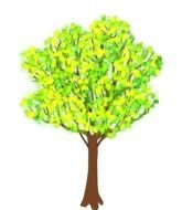 picture of a tree with green leaves