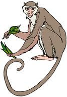 clipart of the monkey