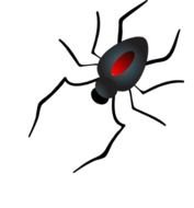 black spider with a red dot on its back on a white background