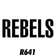 Bandit Mascot For Pinterest