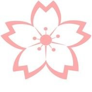 Sakura Flower Png Panda Free Images