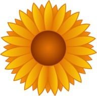 Yellow Sunflower Vector drawing