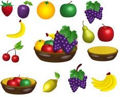 many fruit drawing