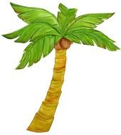 painted palm tree with coconuts on a white background