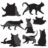 Cat Silhouettes Digital Set Personal And Commercial