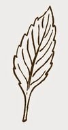 leaf Printable Papers drawing
