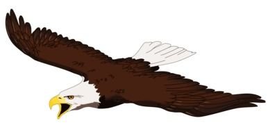 Clip Art Eagle drawing