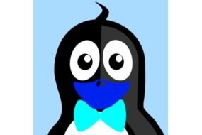 drawn cute penguin