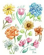 Whimsical Flower Art Colorful