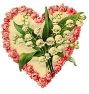 Lily Of My Heart Pinterest