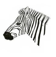 Character Zebra Drawing