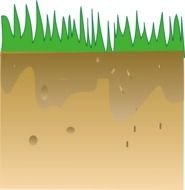 drawing of green grass on the ground