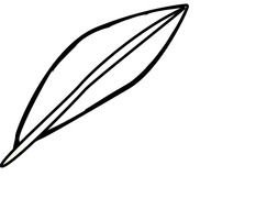 Showing Gallery For Simple Feather Outline