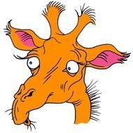 For More Information Please Contact Christine McNew Youth Services N3