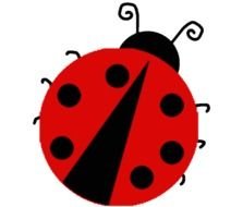 Printable Ladybug Template Cake Ideas And Designs