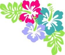 Back &gt Gallery For Pineapple Luau Border