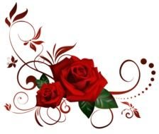 red rose with monograms on a pattern