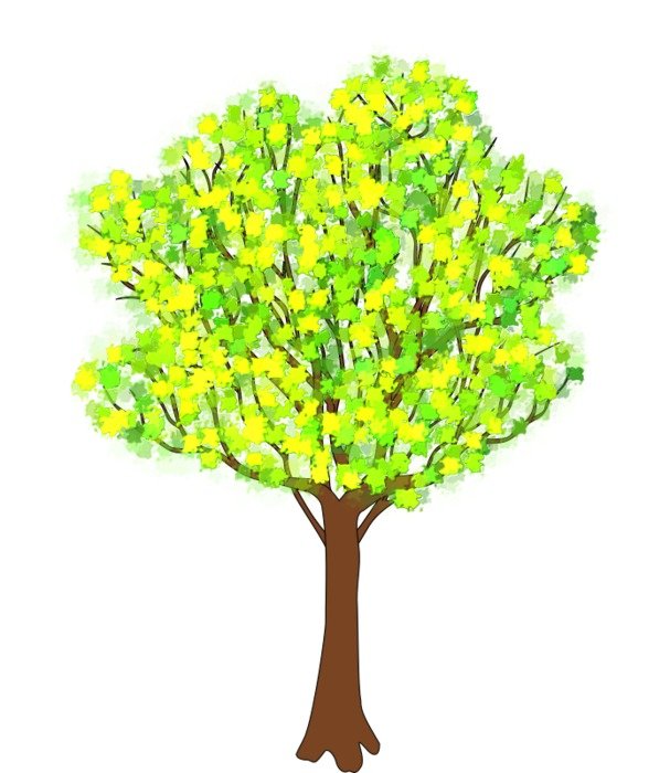 picture of a tree with green leaves