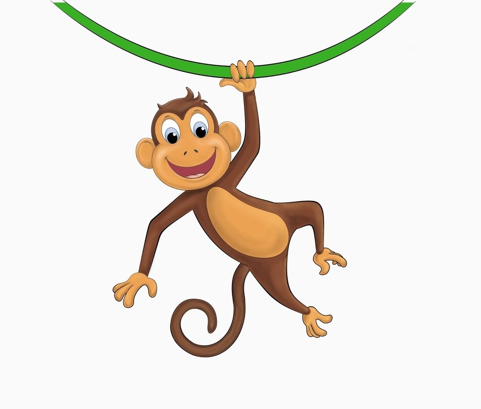 picture of a monkey on a green vine