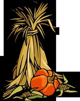 Fall Corn Stalks Field Of Screams Mt Home