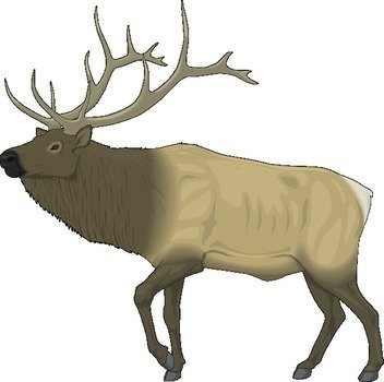 Large Moose At Clkercom Vector Online Royalty