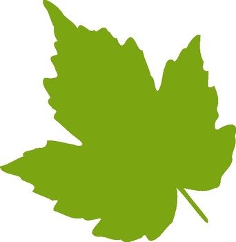Light Green Leaf At Clkercom Vector Online clipart