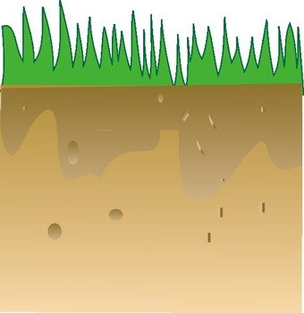 drawing of green grass on the ground
