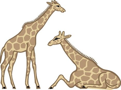 clipart of the couple of giraffes