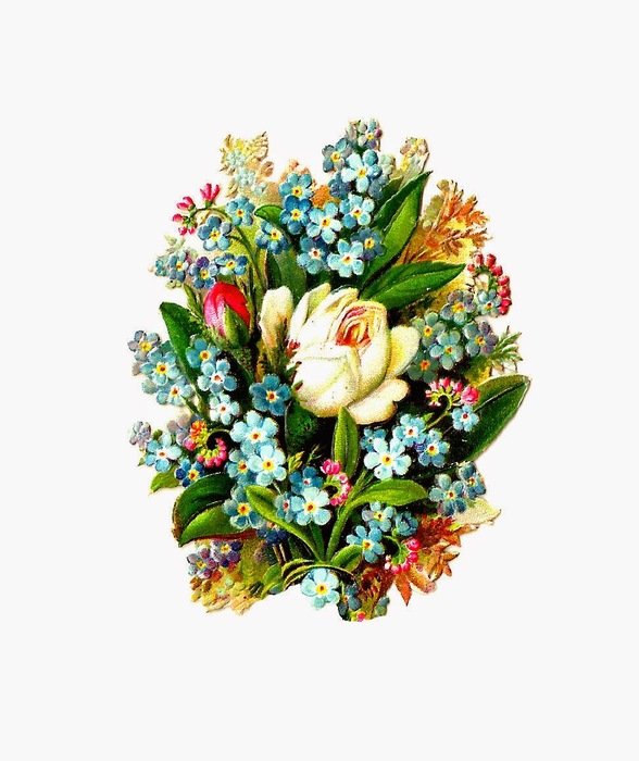 Flower Graphic drawing