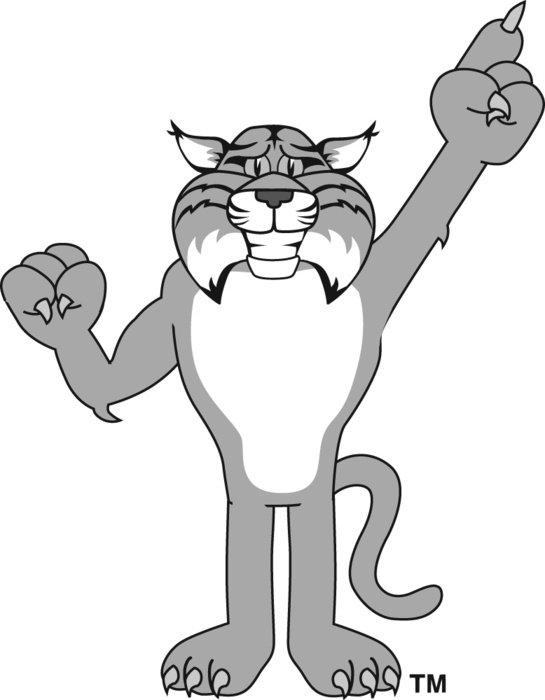 Cartoon Bobcat drawing