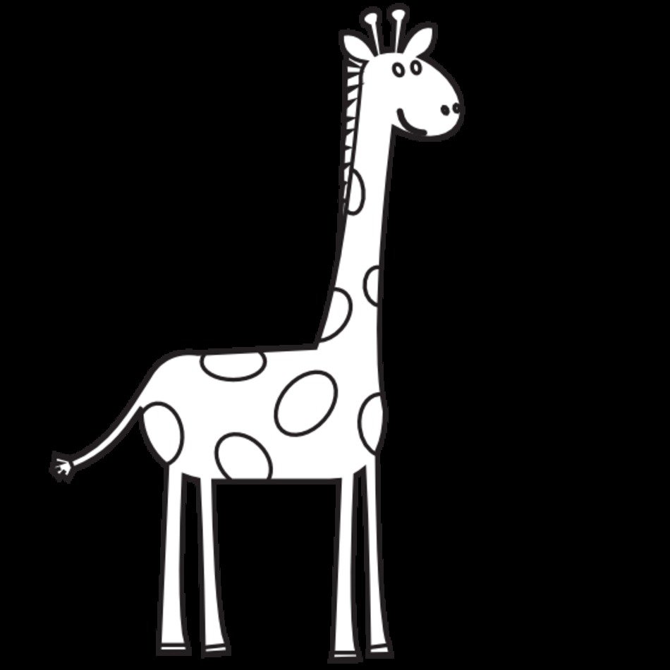 Animal Black And Whites Co