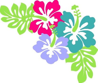 Back &gt Gallery For Pineapple Luau Border