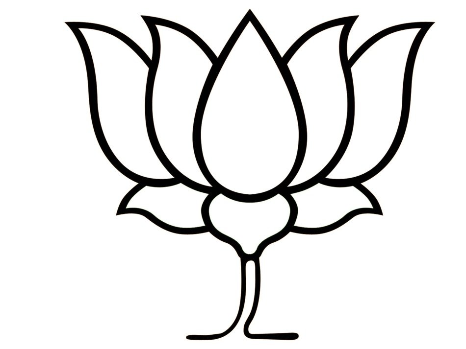 painted white lotus silhouette