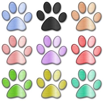 Puppy Paw Print Video clipart